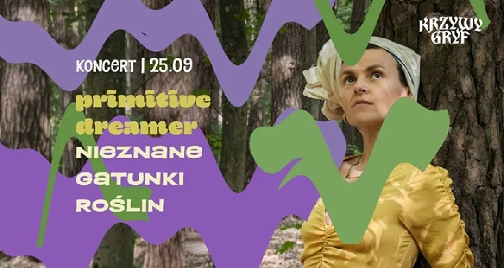 Primitive Dreamer – koncert