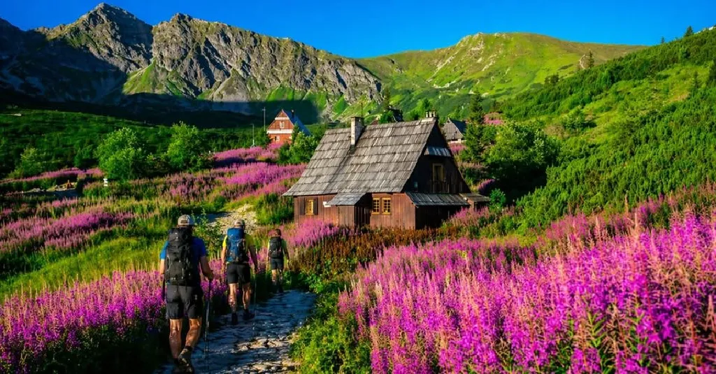 Różowe Tatry – trekking