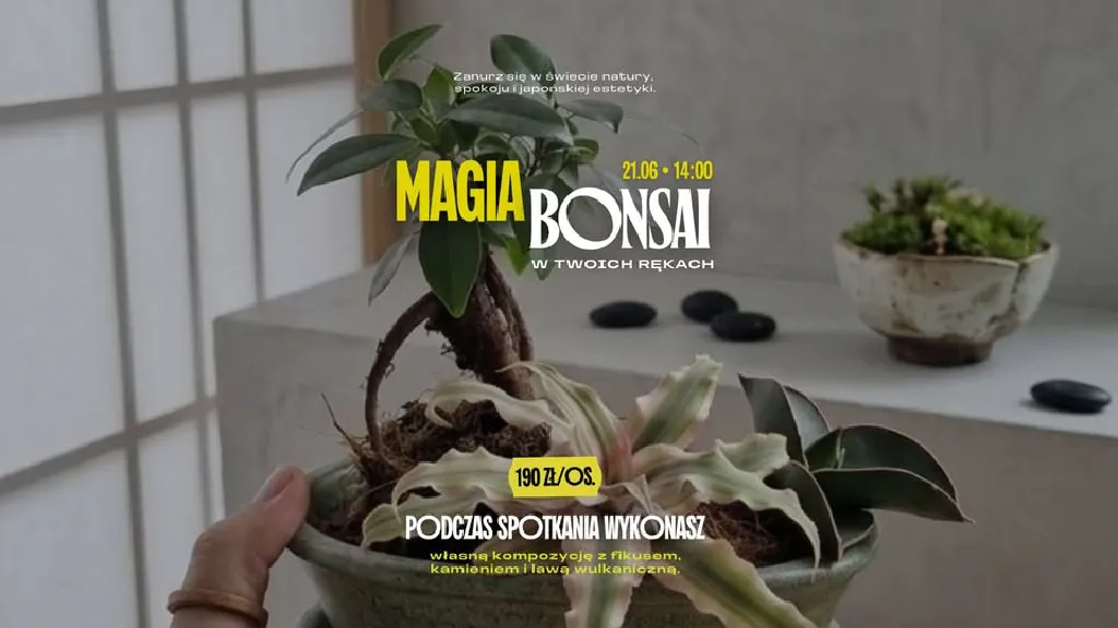 Warsztaty tworzenia kompozycji bonsai