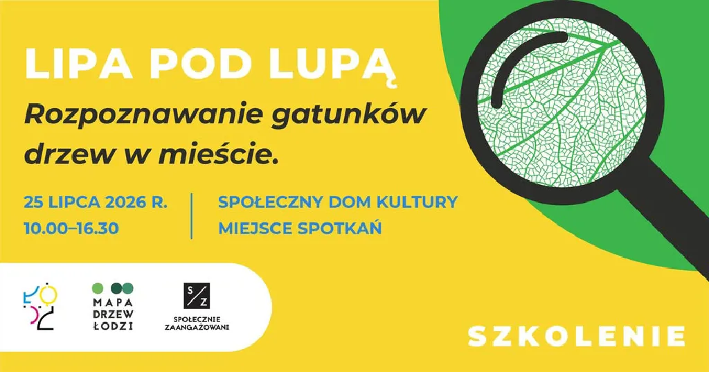 LIPA POD LUPĄ – warsztaty rozpoznawania drzew