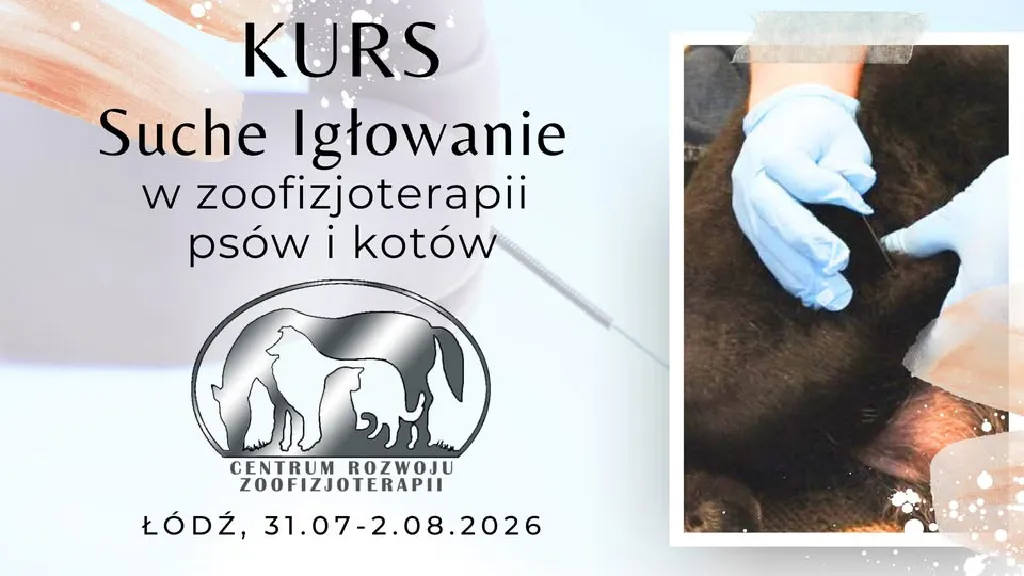 Suche igłowanie w zoofizjoterapii psów i kotów – kurs