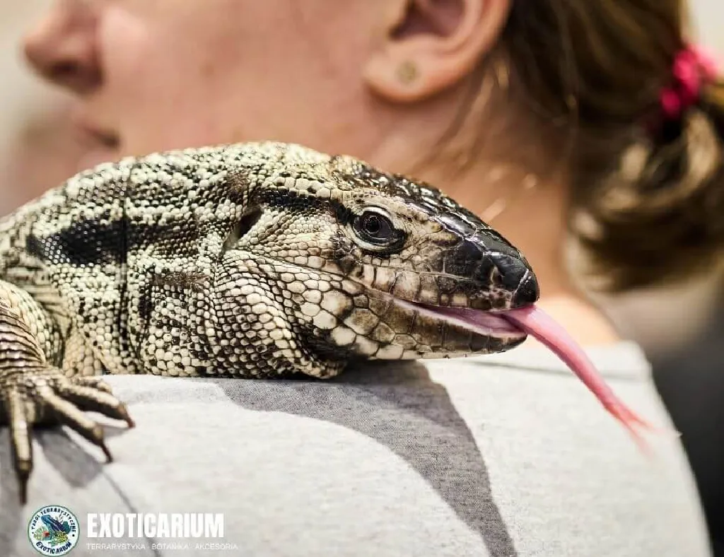 Exoticarium – Targi Terrarystyczne w Szczecinie