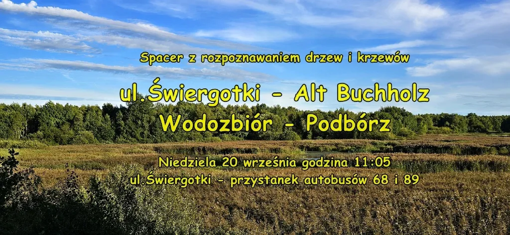 Spacer przyrodniczy – Świergotki, Alt Buchholz i Podbórz