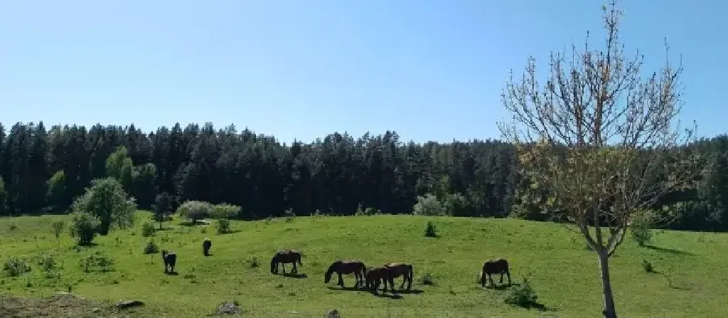 Klub Podróżników – Suwalszczyzna
