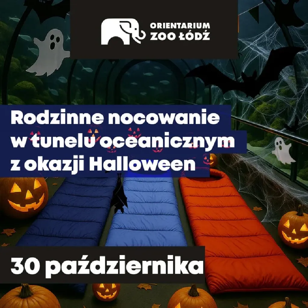 Halloweenowe rodzinne nocowanie – Orientarium ZOO Łódź