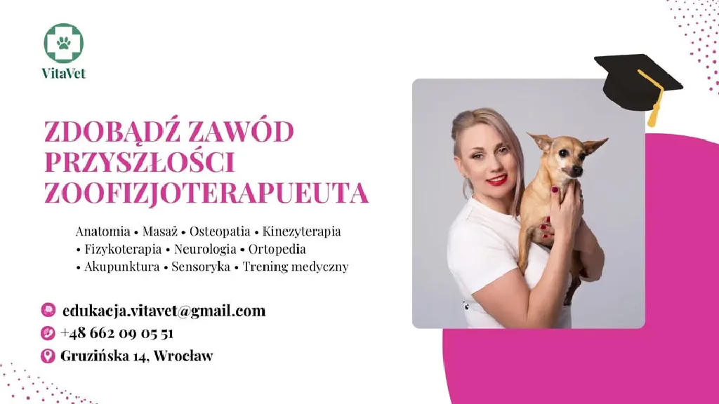 Kurs Zoofizjoterapeuta małych zwierząt