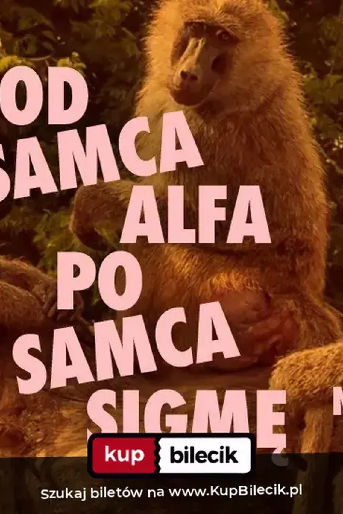 Od Samca Alfa po Samca Sigmę – spektakl impro