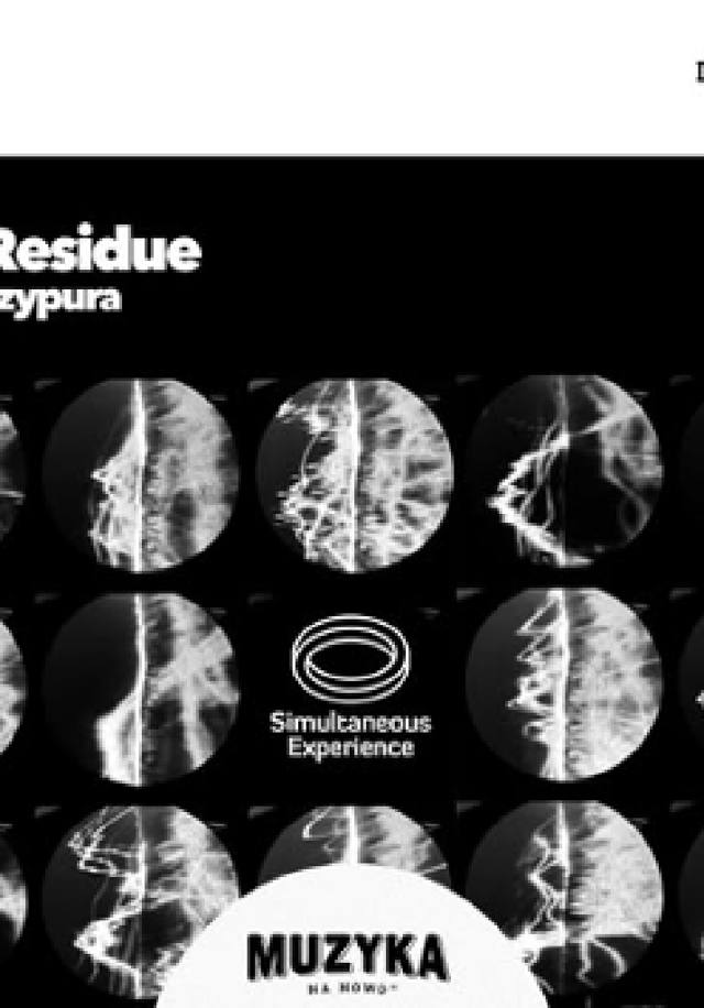 Chopin Residue – koncert z cyklu Meet The Music