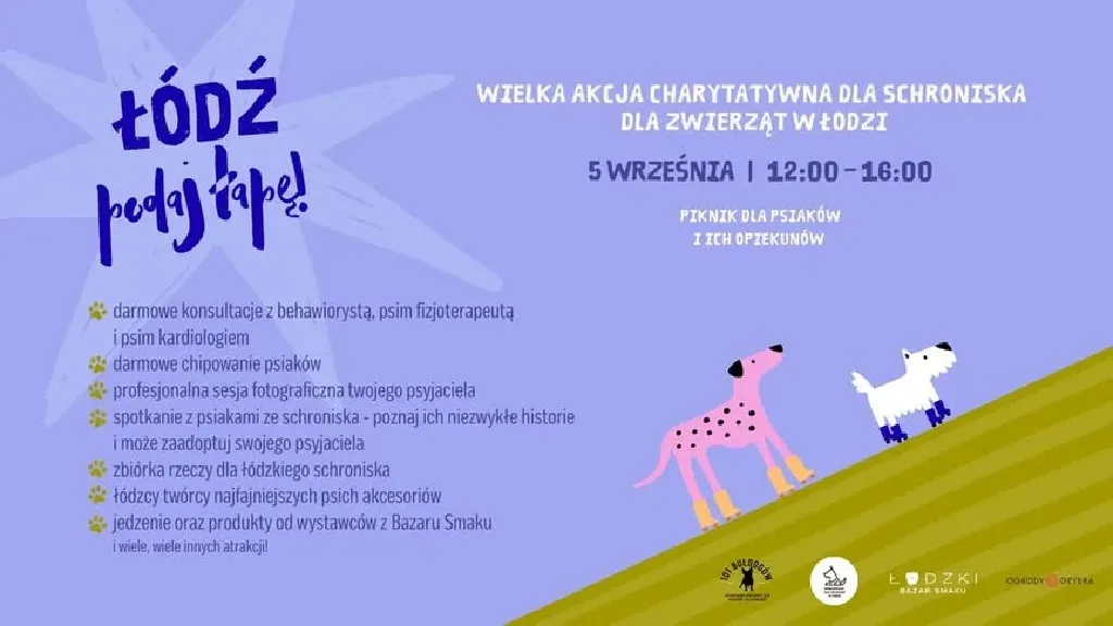 ŁÓDŹ PODAJ ŁAPĘ – akcja charytatywna dla schroniska
