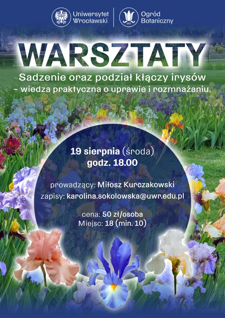 Sadzenie oraz podział kłączy irysów – warsztaty