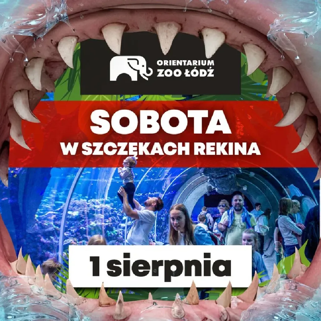 Sobota w szczękach rekina w Orientarium Zoo Łódź