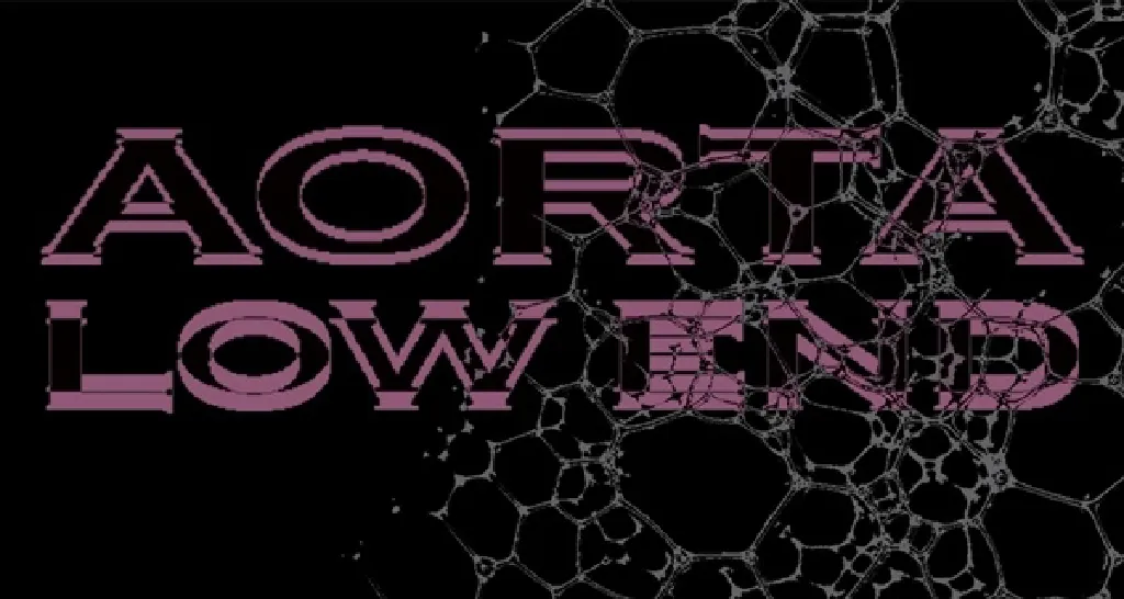Aorta Low End – wydarzenie muzyczne