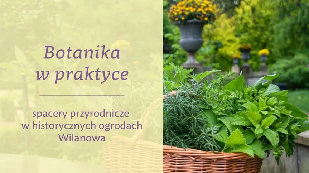 Botanika w praktyce – spacery przyrodnicze w ogrodach Wilanowa