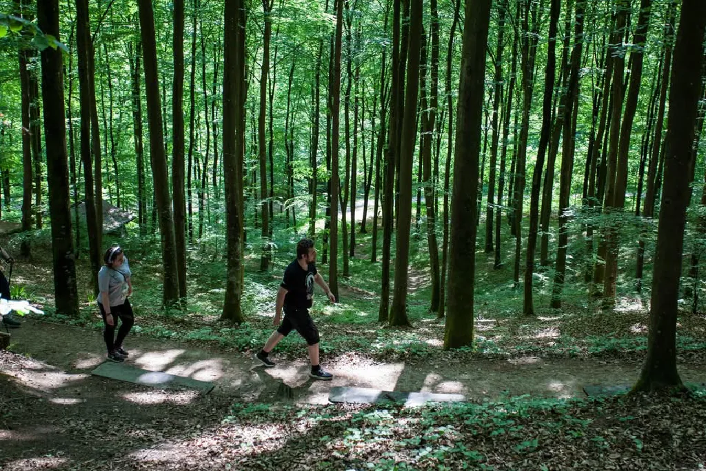 Botaniczna Piątka Gdynia – edycja letnia