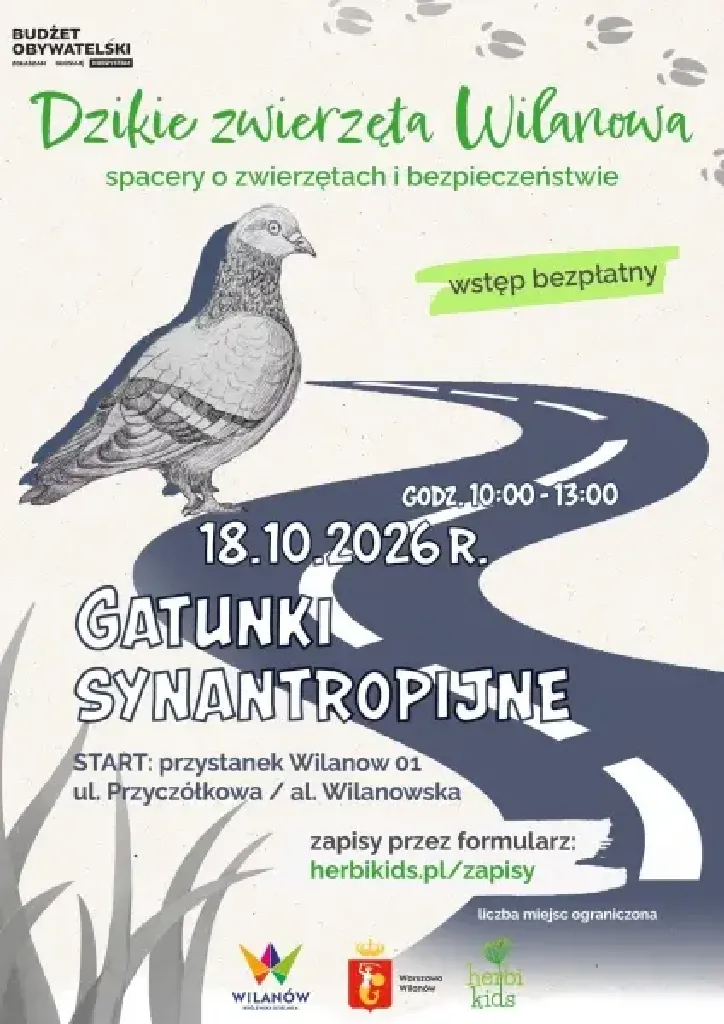 Dzikie zwierzęta Wilanowa – spacer o bezpiecznym sąsiedztwie