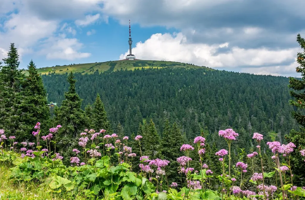 Czeskie Beskidy – trekking górski