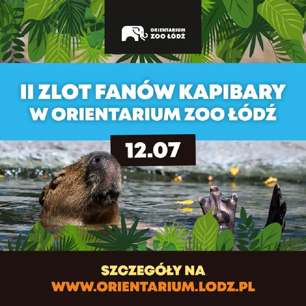 II Zlot Fanów Kapibary w Orientarium ZOO Łódź