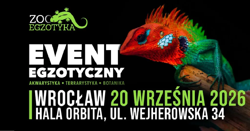 ZooEgzotyka – targi zwierząt i roślin