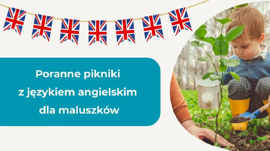 Poranne pikniki z językiem angielskim w Aninie