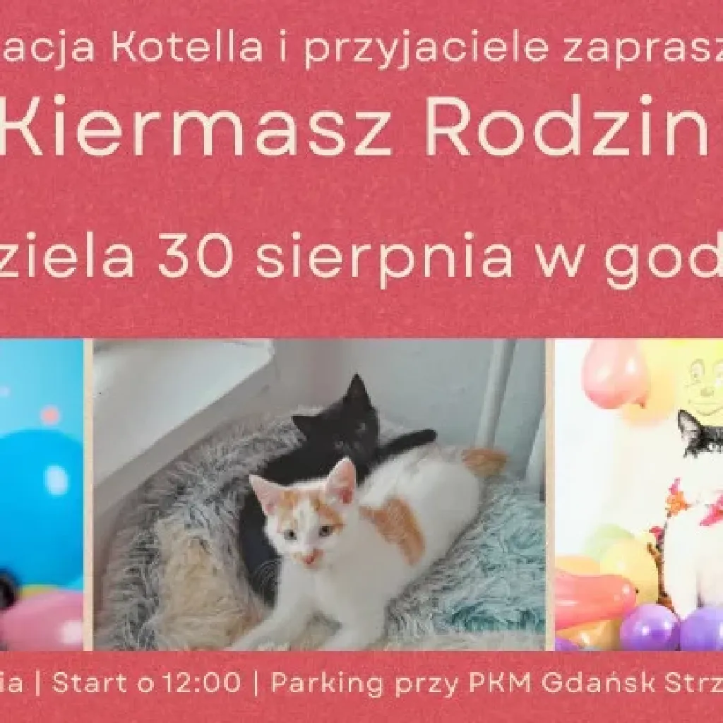 Kiermasz Rodzinny Fundacji Kotella