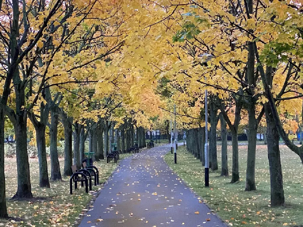 Park Władysława Czarneckiego