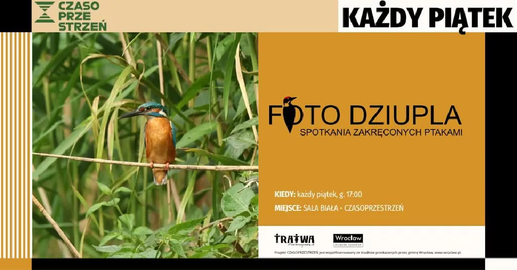 Foto Dziupla – spotkania miłośników ptaków