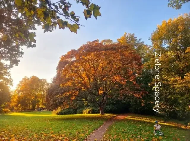 Zielony spacer – jesienny Park Skaryszewski