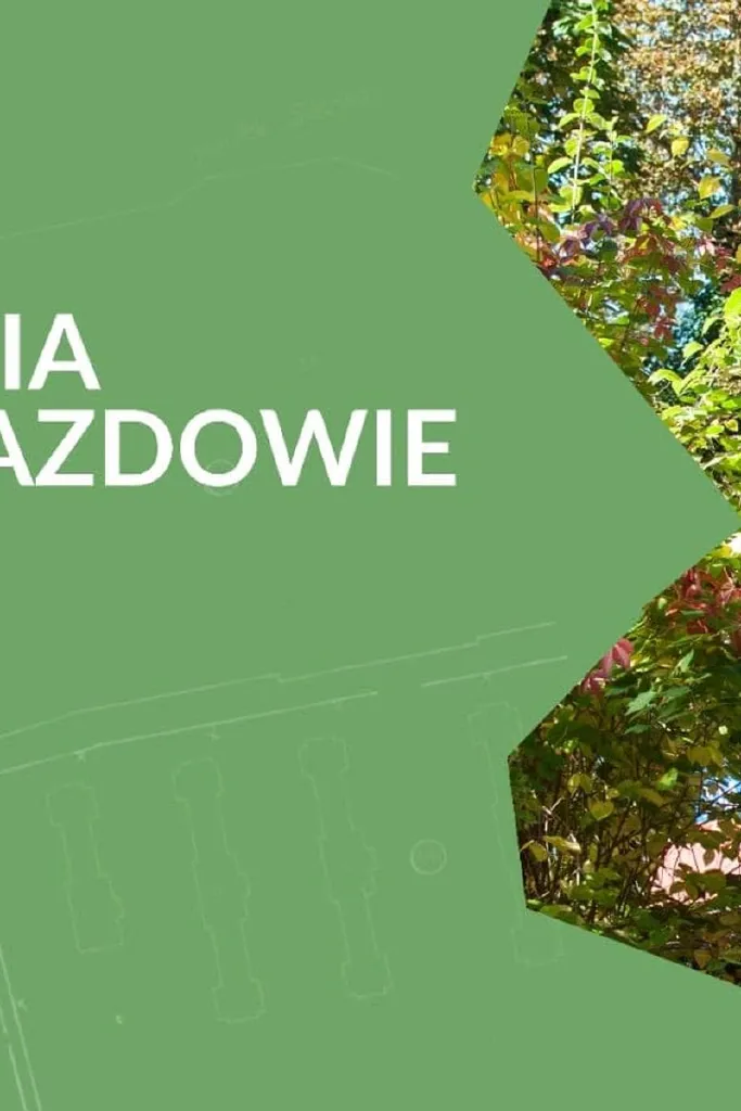 Jesienne oprowadzanie po Wolnym Jazdowie