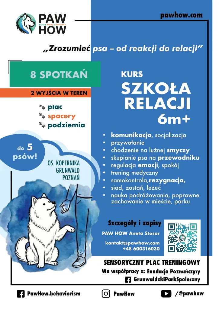 Kurs posłuszeństwa dla psów PAW HOW Szkoła Relacji. Pies