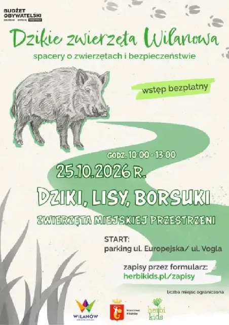Dziki, lisy i borsuki w miejskiej przestrzeni – spacer przyrodniczy