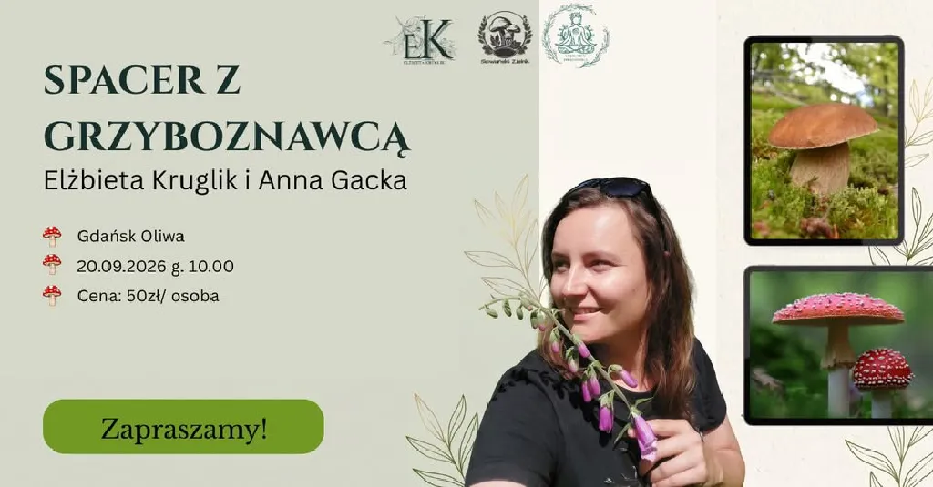 Spacer z grzyboznawcą – Gdańsk