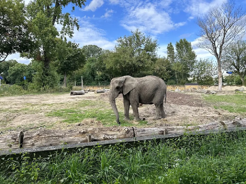 Miejski Ogród Zoologiczny w Warszawie