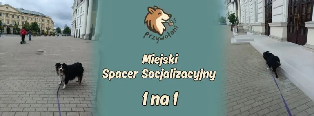 Miejskie spacery socjalizacyjne 1na1