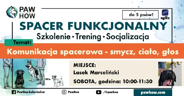 Spacer socjalizacyjny, funkcjonalny. Temat: Komunikacja - smycz, ciało i głos