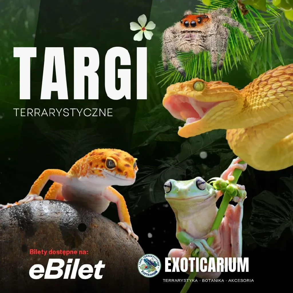 Exoticarium – Targi Terrarystyczne