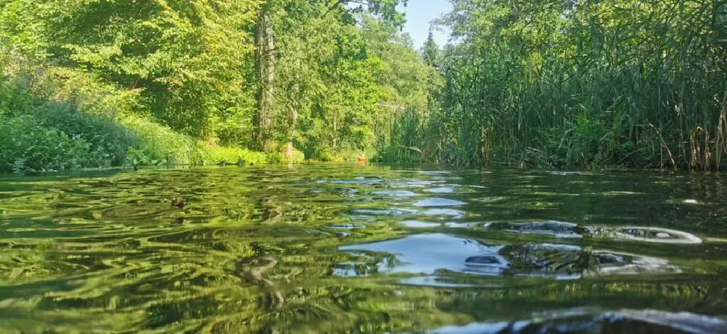 Weekendowy spływ kajakowy w Puszczy Augustowskiej