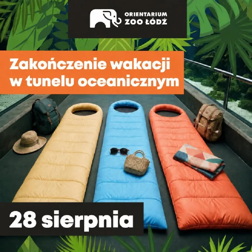 Rodzinne nocowanie w tunelu oceanicznym – Orientarium ZOO Łódź