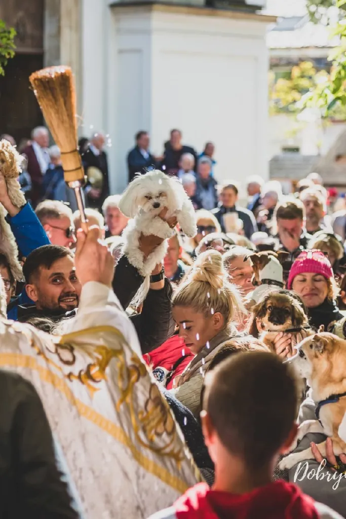 Dzień św. Franciszka i Lasu Bielańskiego – piknik ekologiczny