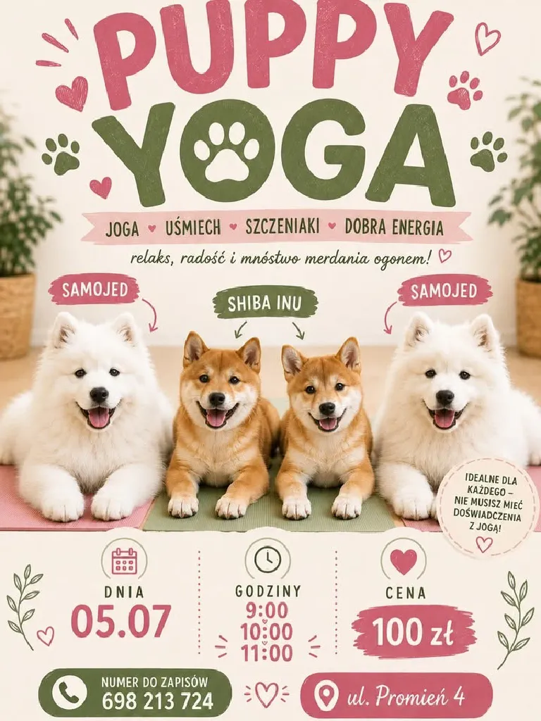 Puppy Yoga z samojedami i shiba inu
