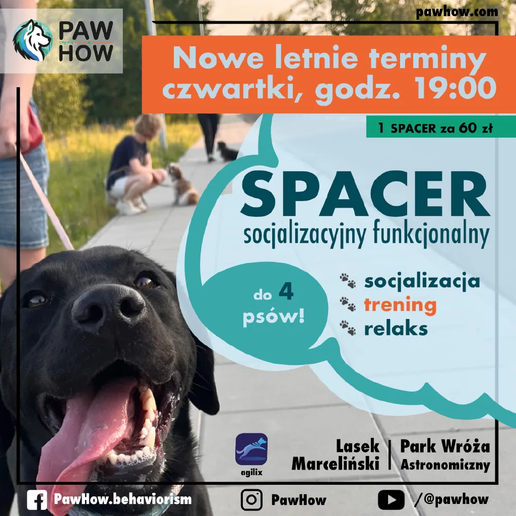 Spacer socjalizacyjny funkcjonalny dla psów i opiekunów. Pies