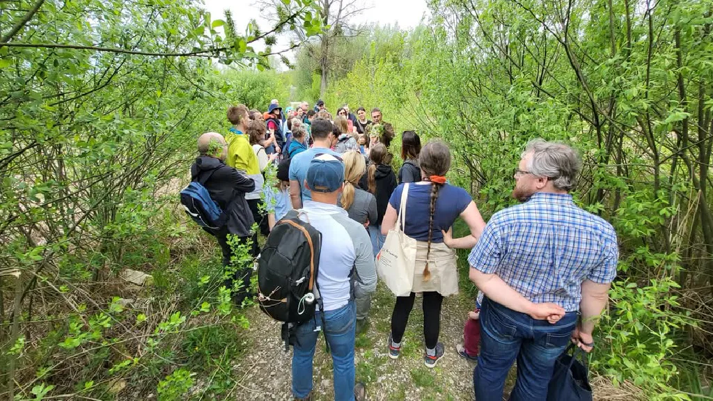 Spacer ornitologiczny nad Wisłą