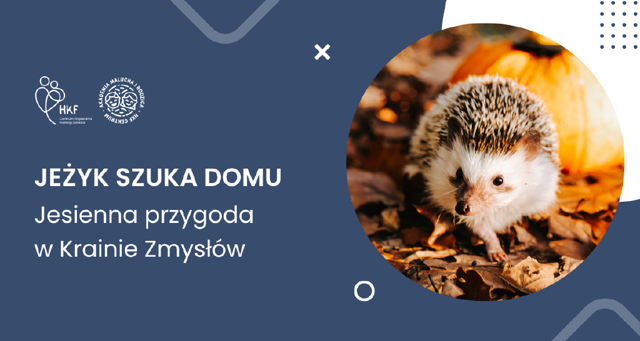 Jeżyk szuka domu – sensoryczne zajęcia dla dzieci