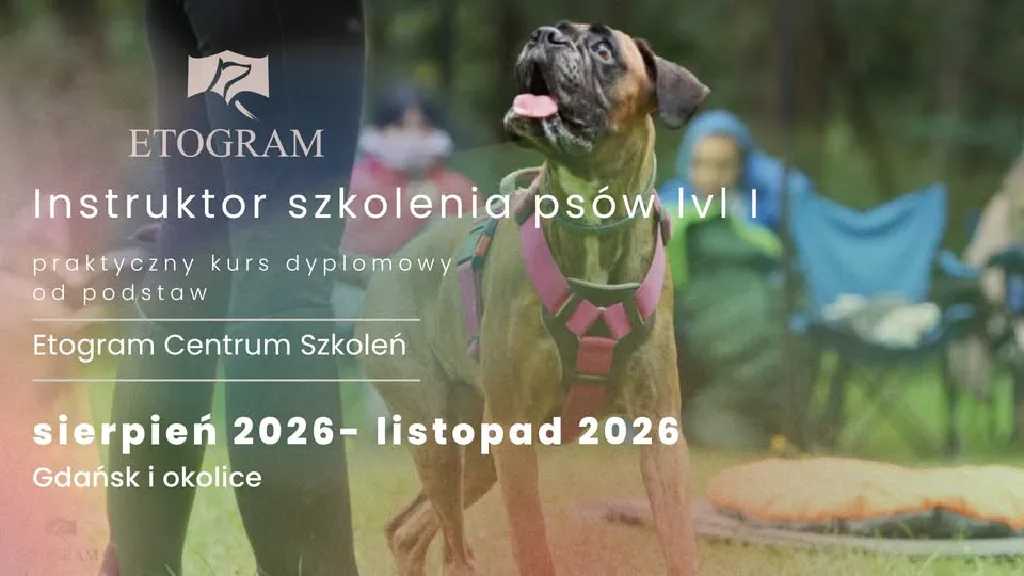 Kurs Instruktor Szkolenia Psów Etogram – poziom I