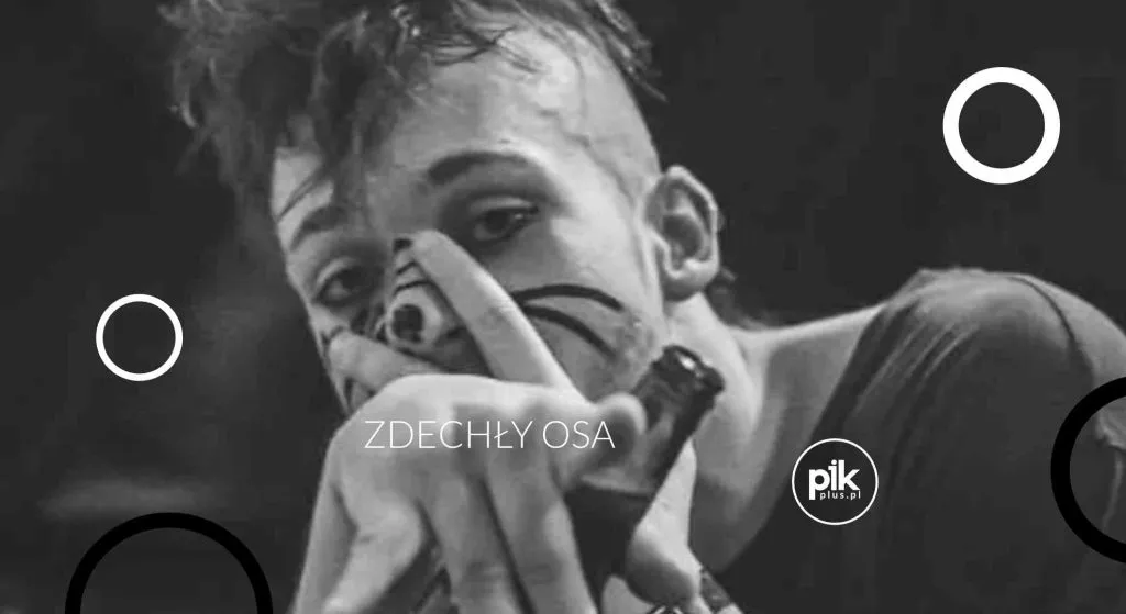 Zdechły Osa – koncert