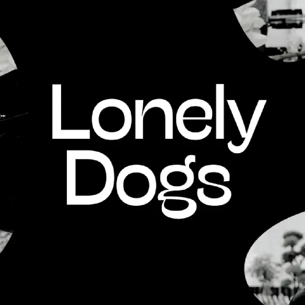 Lonely Dogs – koncert rockowy