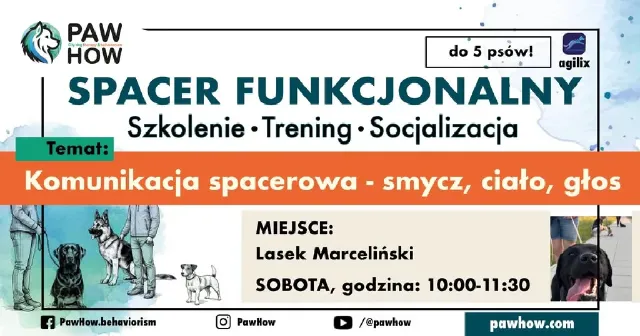 Spacer socjalizacyjny i funkcjonalny dla psów