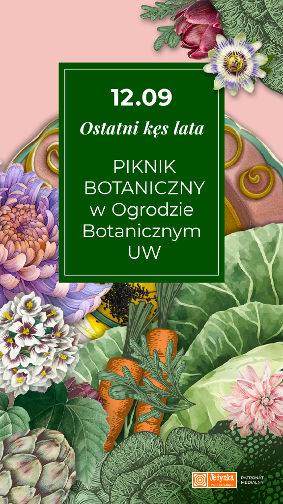 Ostatni kęs lata – piknik botaniczny w Ogrodzie Botanicznym UW