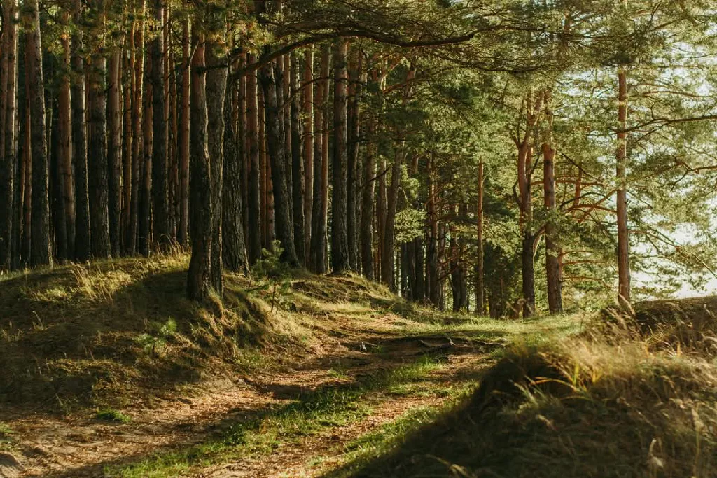 Medytacja i rozmowa o buddyzmie
