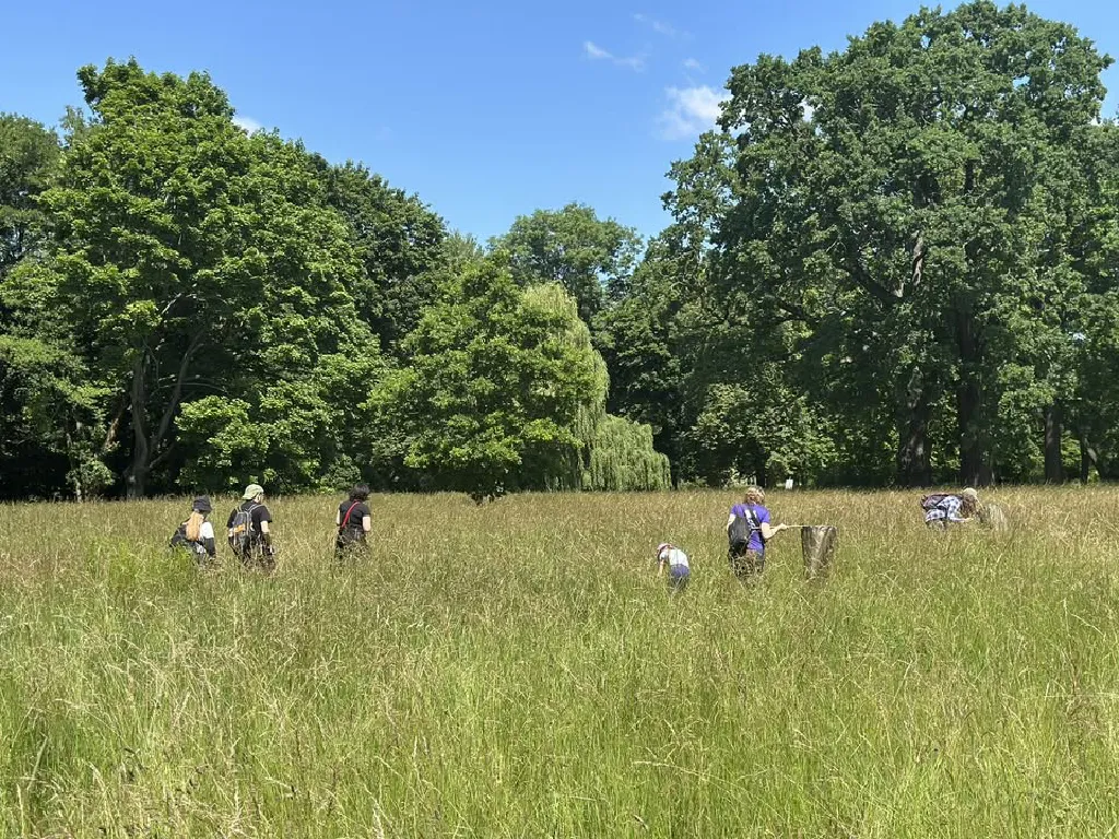 BioBlitz – badawcze spotkania przyrodnicze