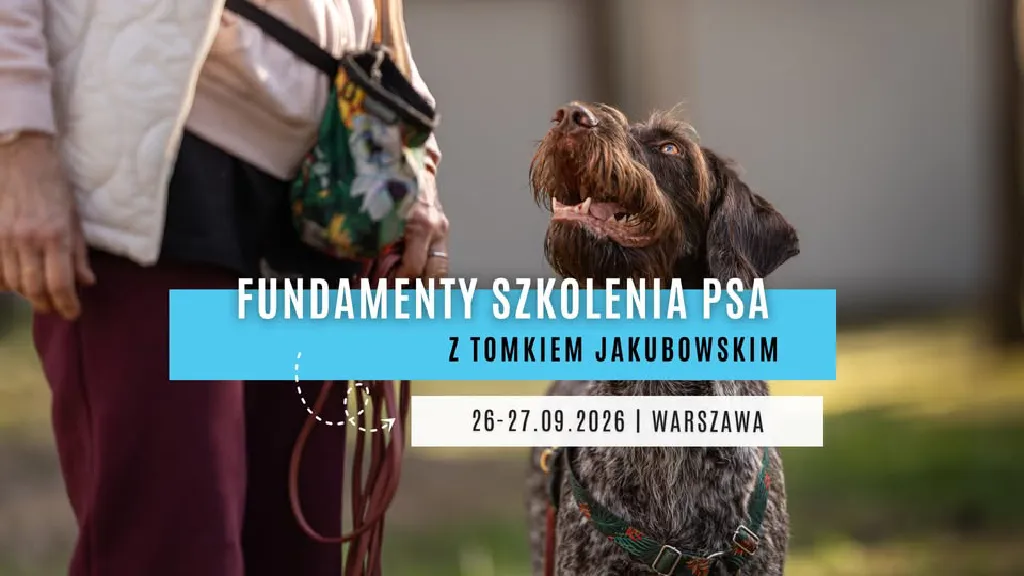 Fundamenty szkolenia psa – seminarium z Tomkiem Jakubowskim